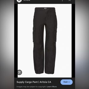 Aritzia Supply Cargo Pants - Black